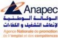 Moroccan National Agency for the Promotion of Employment visits Pixel